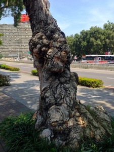 忠孝東路.jpg