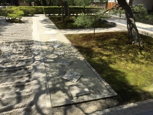 IMG_7317.jpg