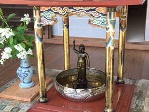 IMG_7320.jpg