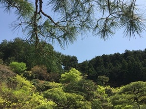 IMG_7325.jpg
