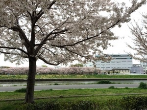 150404-01.jpg