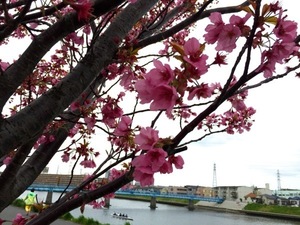 150404-02.jpg