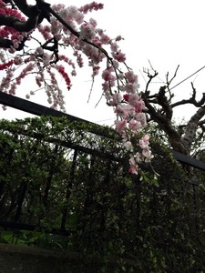 150404-04.jpg