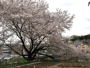 150404-05.jpg