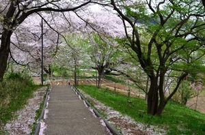 150404-06.jpg