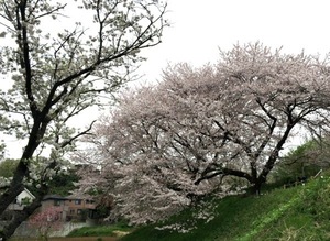 150404-07.jpg
