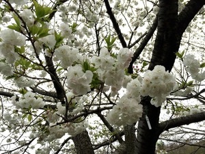 150404-11.jpg