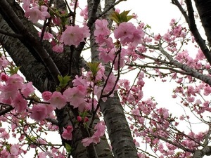 150404-12.jpg