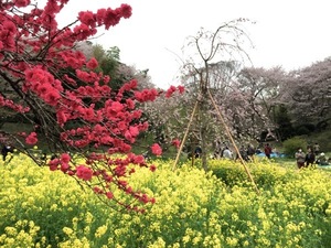 150404-13.jpg
