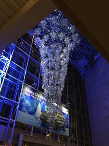 IMG_6745.jpg