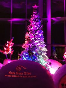 IMG_6753.jpg