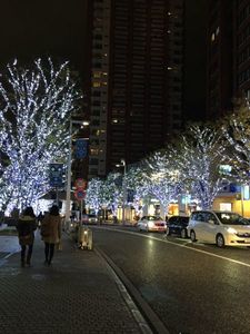 IMG_6755.jpg