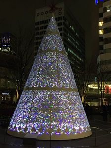 IMG_6756.jpg