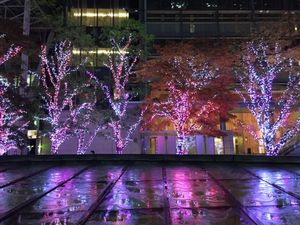 IMG_6761.jpg