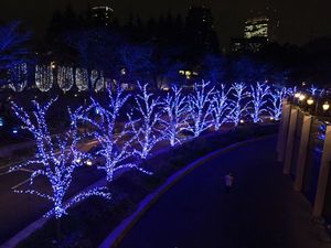 IMG_6763.jpg
