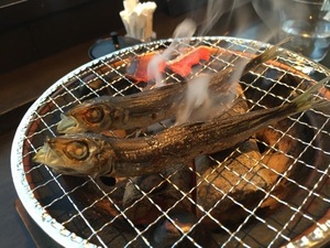 IMG_7285.jpg