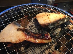 IMG_7288.jpg