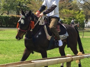 IMG_7369.jpg