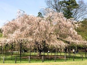 IMG_7371.jpg