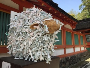 IMG_7391.jpg