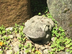 k150417.07.jpg